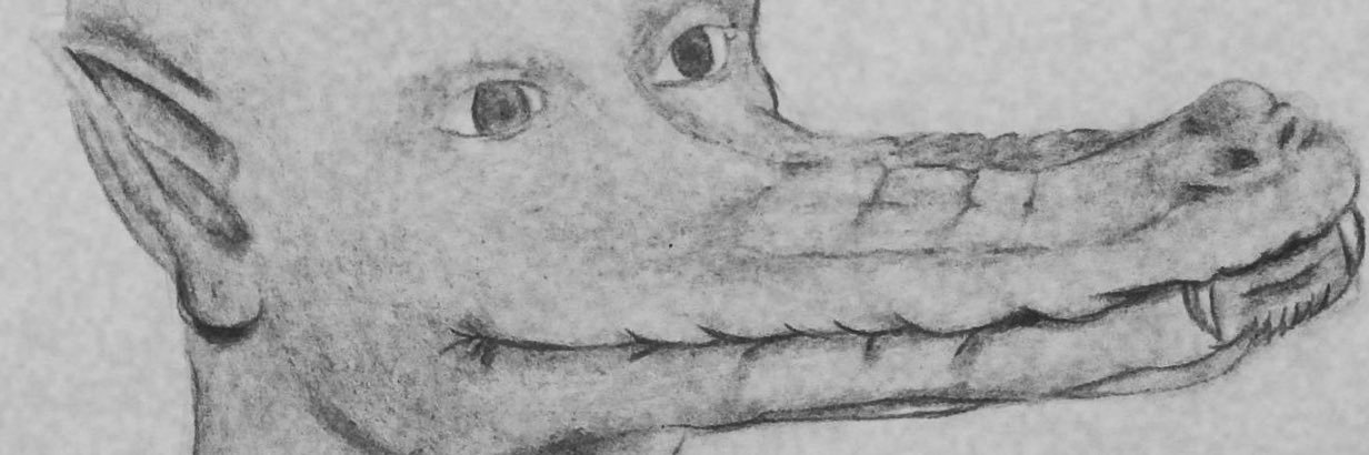 vicoedo's profile banner image