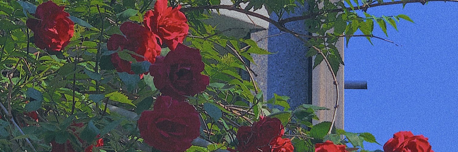 onthursxday's profile banner image