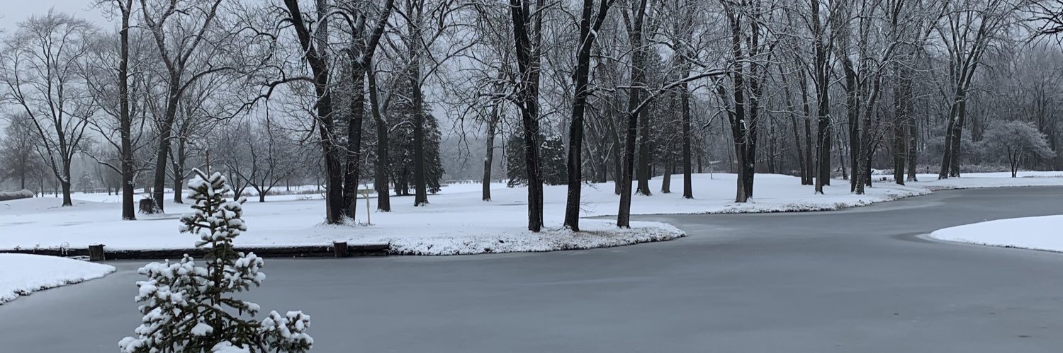 Bob Voss banner