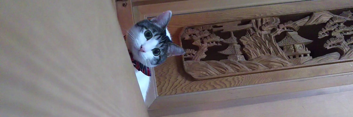 omaru_cat's profile banner image