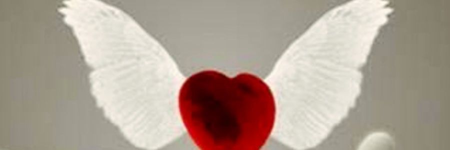 winter121988's profile banner image