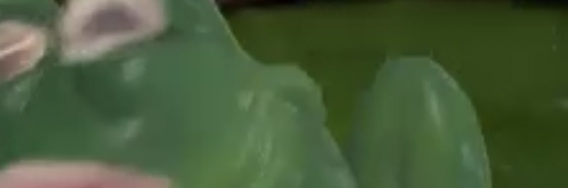 KoyaMoAx's profile banner image