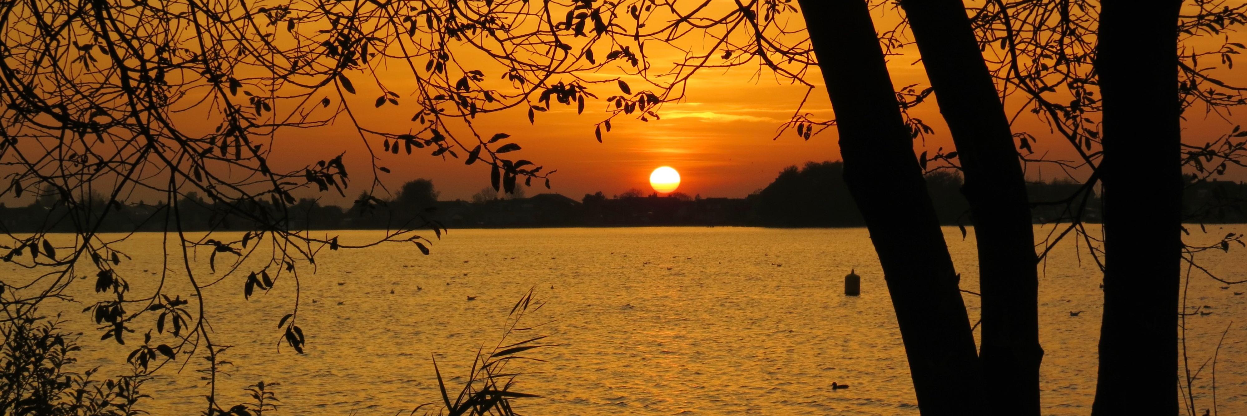 Ton Wesselius banner