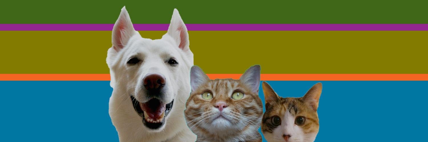 hayang03's profile banner image