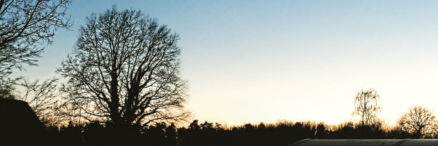 AlinaThone's profile banner image