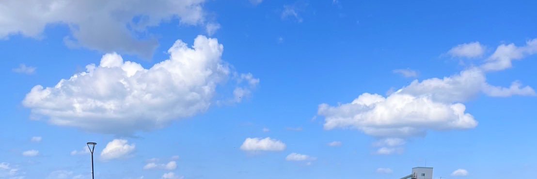 エルサ🌸サブ banner