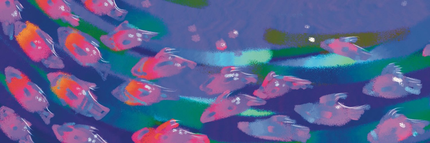 dev banner