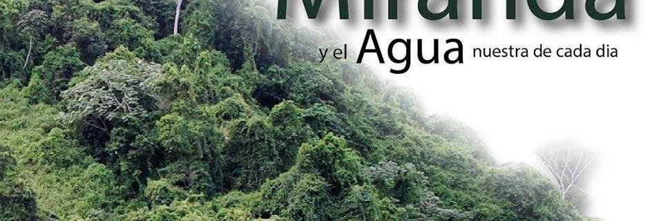 Orlando Díaz banner