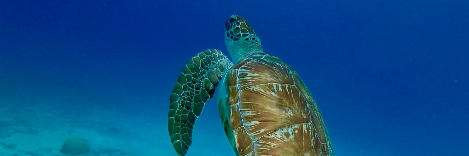 Benoit FARACO banner