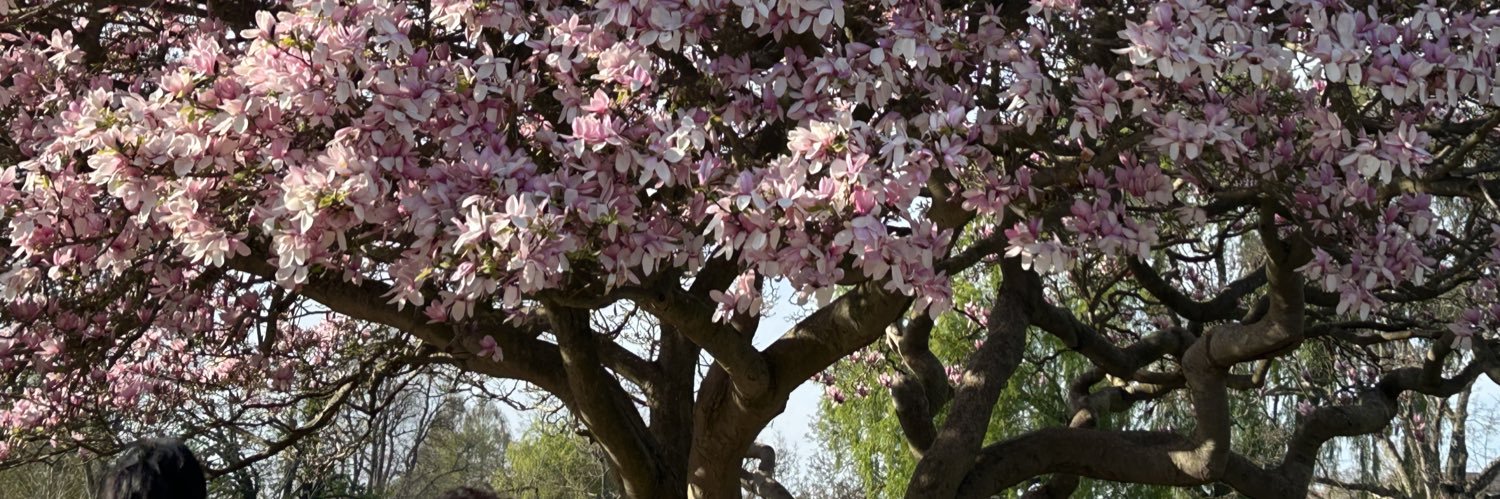 Jenny Brend 💙 banner