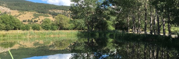 emparmarco Profile Banner