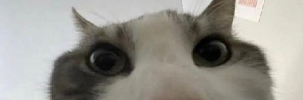 The_Pixel_Man5's profile banner image