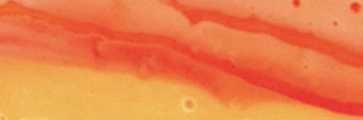 Georgia May Jagger banner