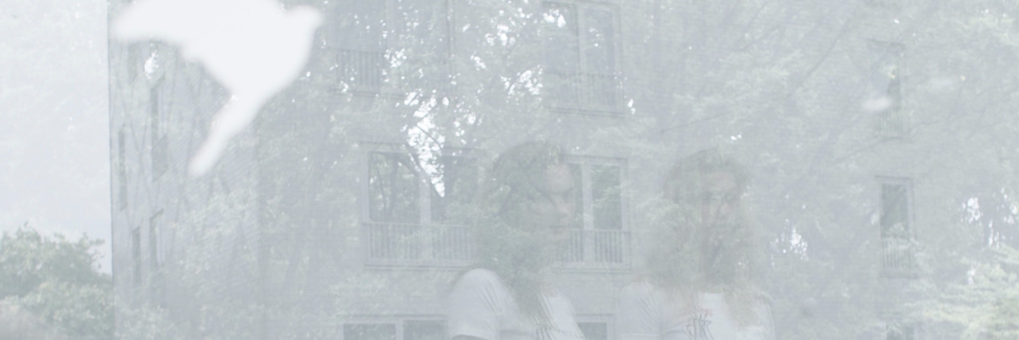 LizanNijkrake's profile banner image