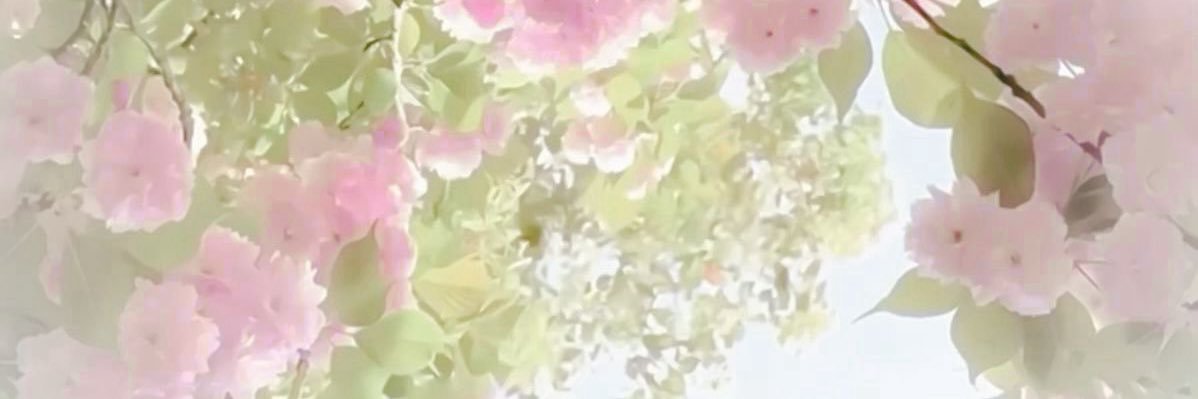 신 banner