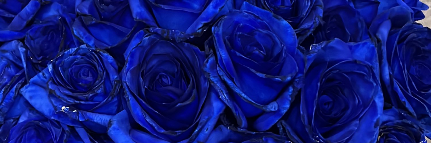 nn__sr13's profile banner image