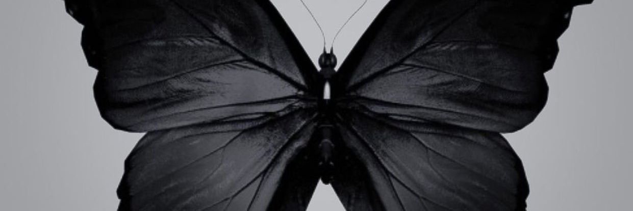 diyarkurt_'s profile banner image