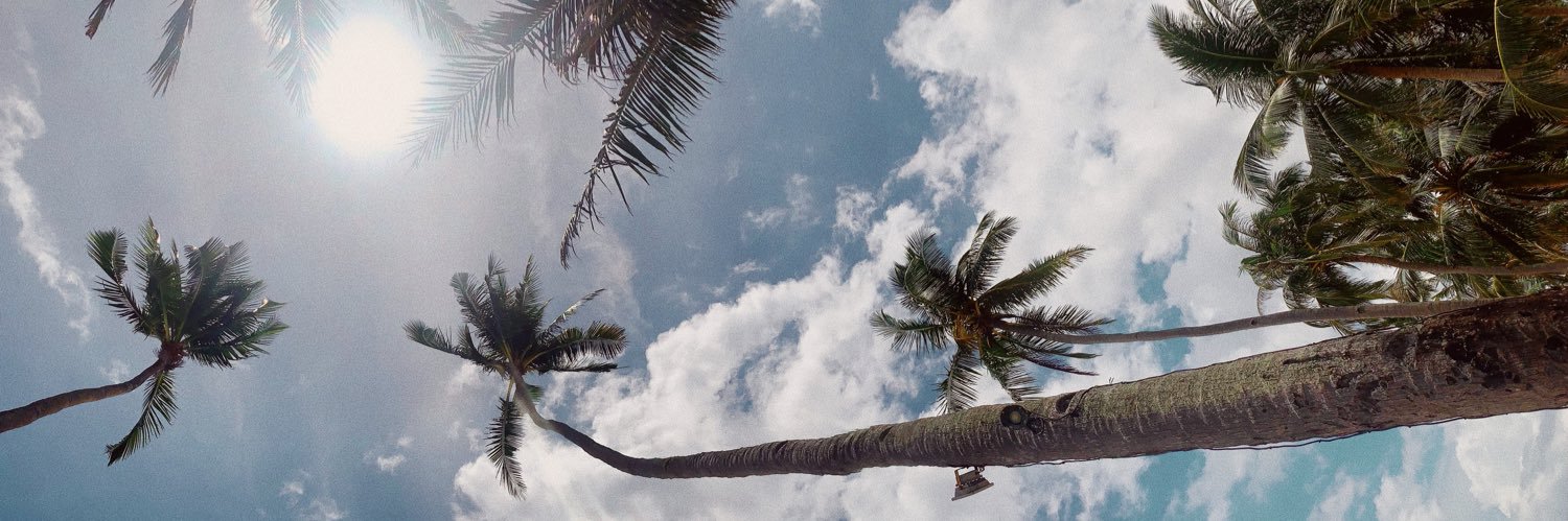janelleyee's profile banner image