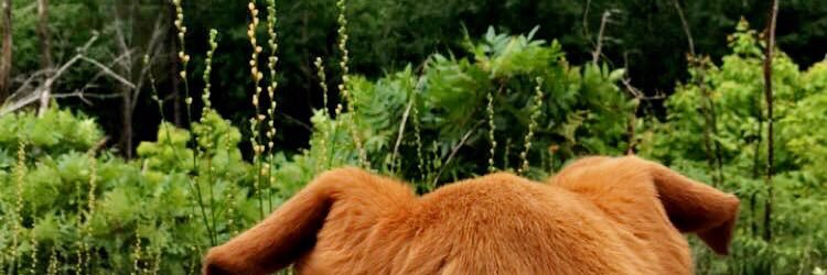 madisonspencee's profile banner image