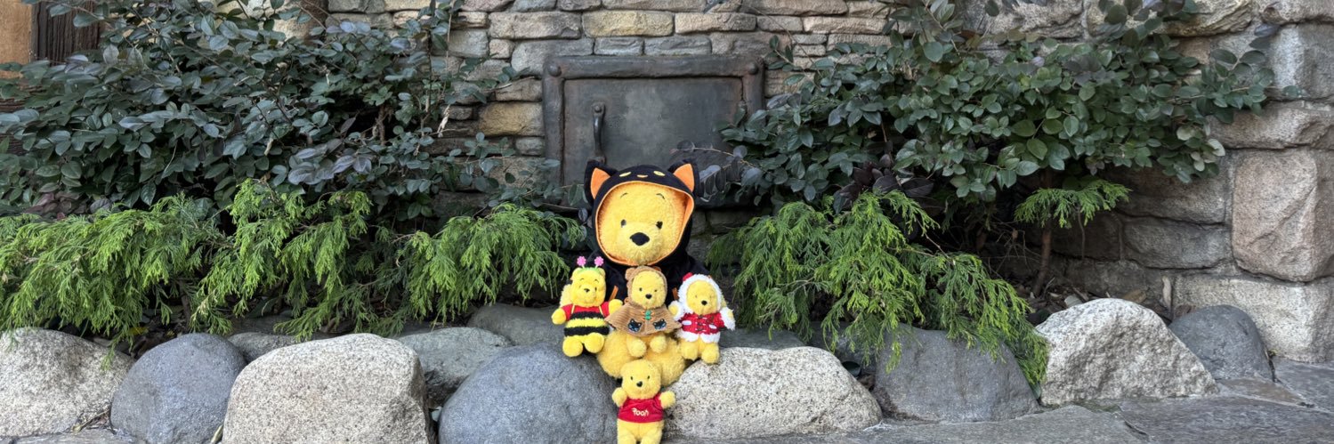 ちぇるしー🐻🍯 banner