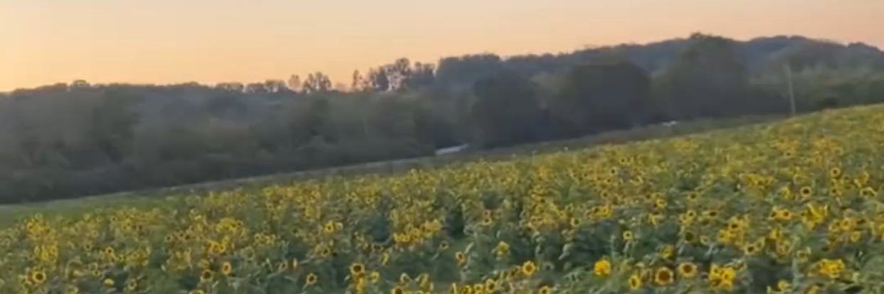 DeKayAllDay's profile banner image