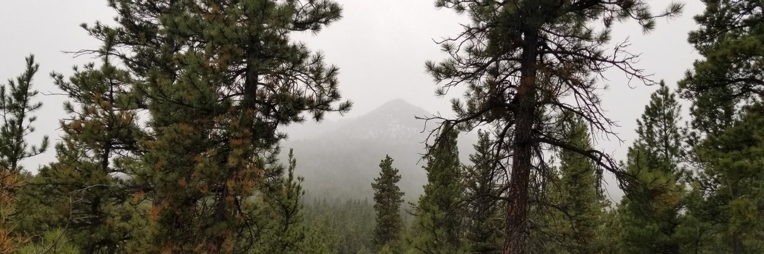 brookehanson24's profile banner image