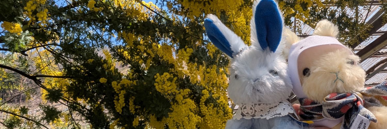 na_kogu's profile banner image