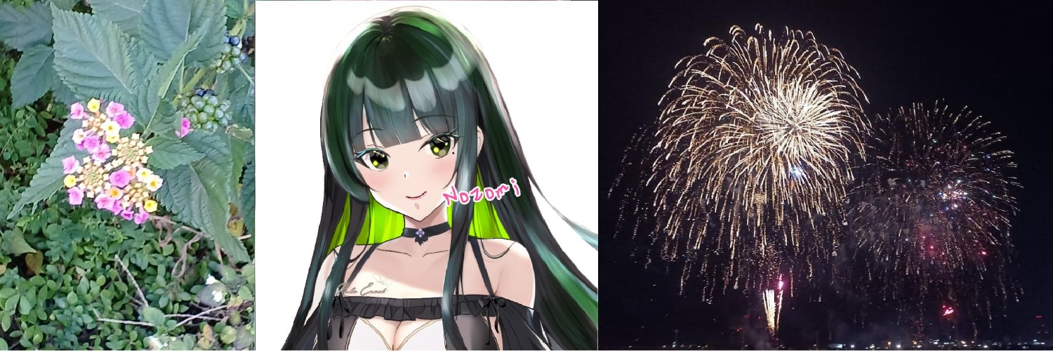 qnozomip's profile banner image