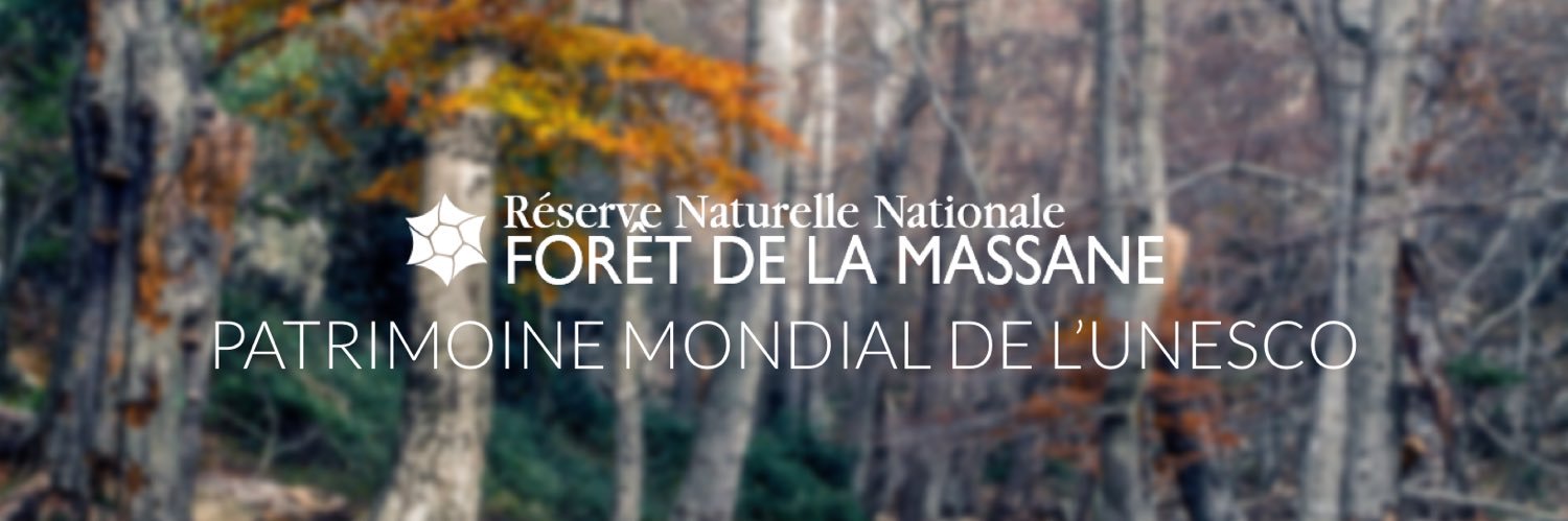 RNNMassane's profile banner image
