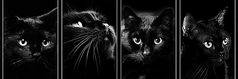 AngelDevil_01's profile banner image