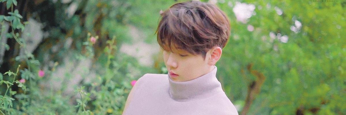 preciousminki's profile banner image