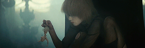 sw. banner