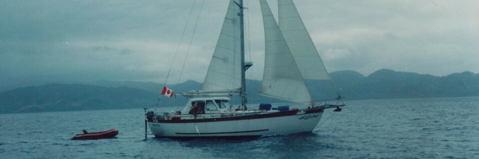 svaquila's profile banner image