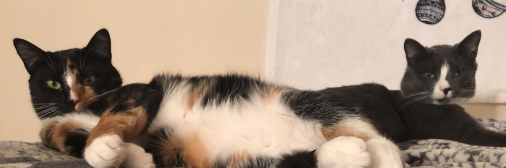 savyraeeee's profile banner image