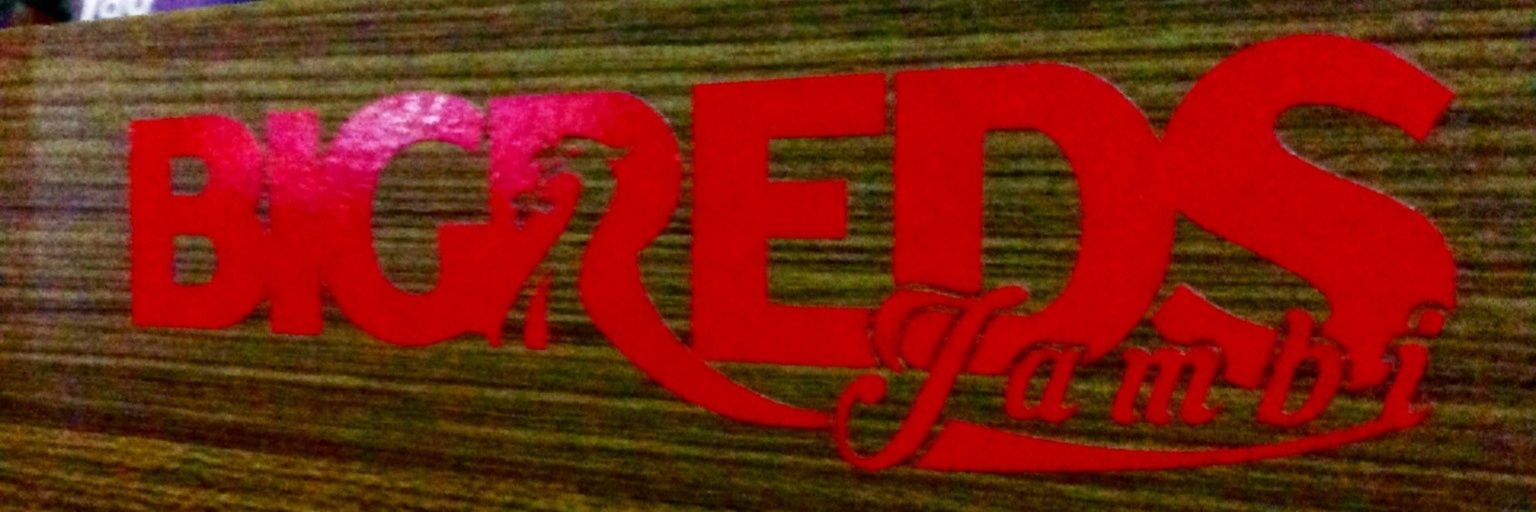 BIGREDS_DJB's profile banner image