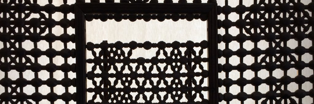 Anne van der Schoot banner
