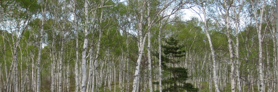 EastSNW's profile banner image