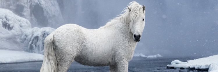 Amoon_EF's profile banner image