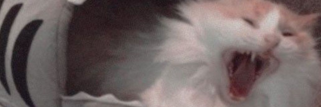 MarcosDias68's profile banner image