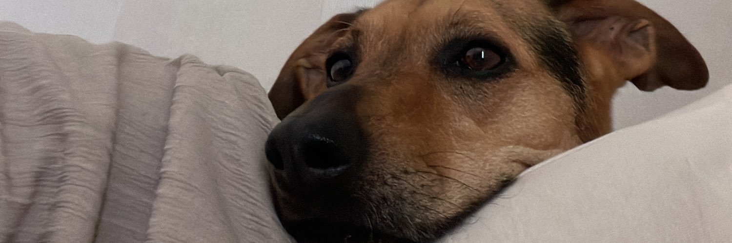 dgrsme's profile banner image