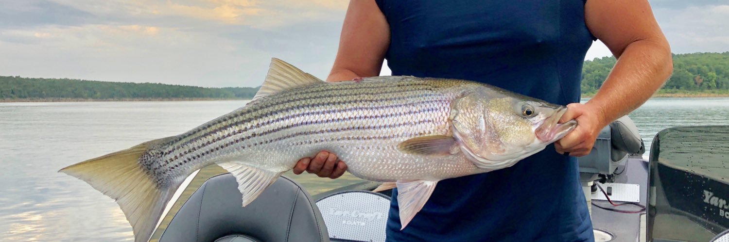 Jason Epperson banner