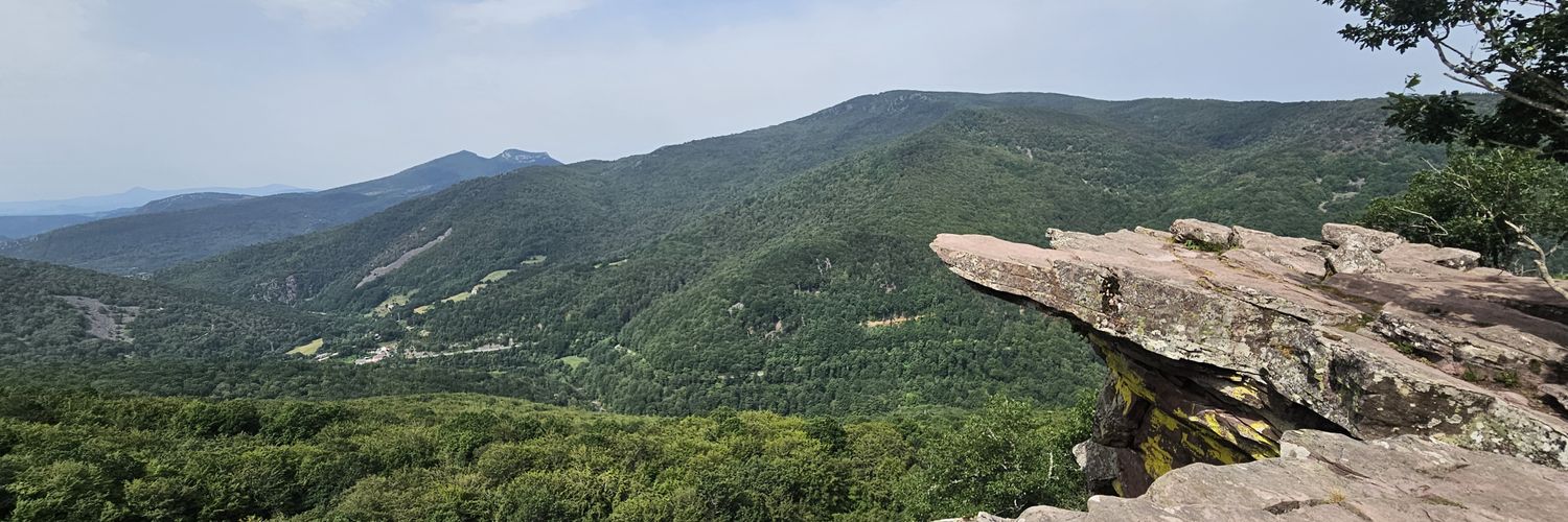 Álvaro Atienza banner