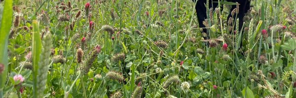 CooperBeth Profile Banner