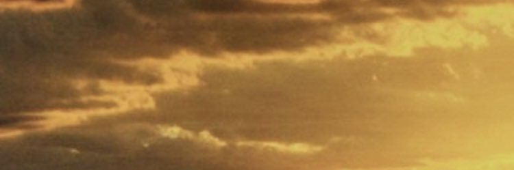 tururamirez's profile banner image