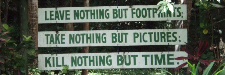 DoDo_7373's profile banner image