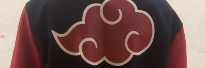s2todavida's profile banner image