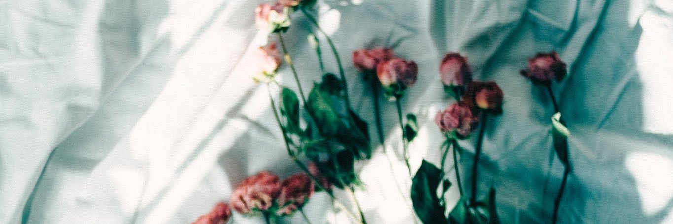 sakxx31's profile banner image