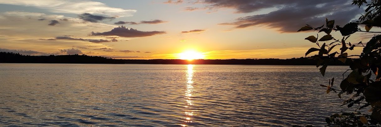 Teresa Milligan banner