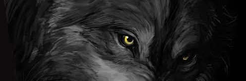 Simailssss's profile banner image