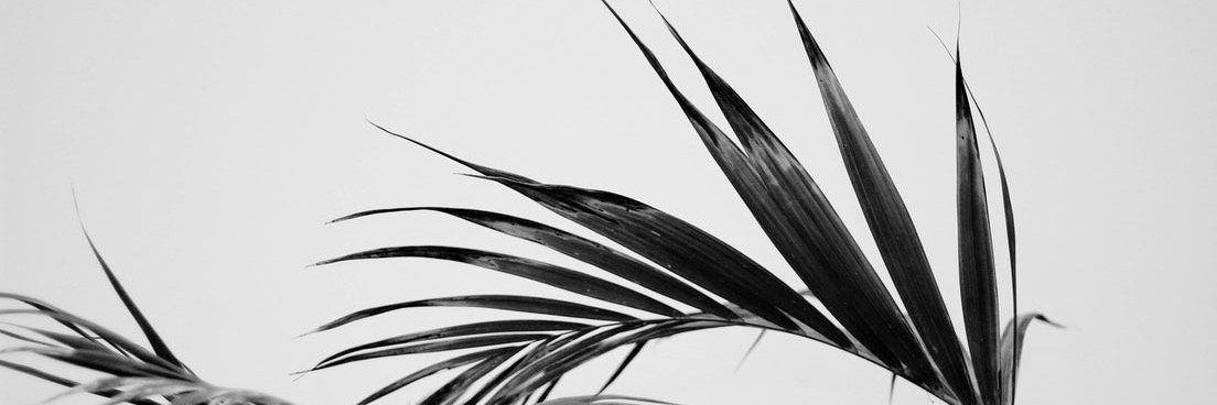 baptistelanne's profile banner image
